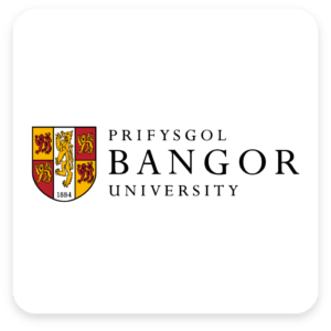 bangor university phd by publication